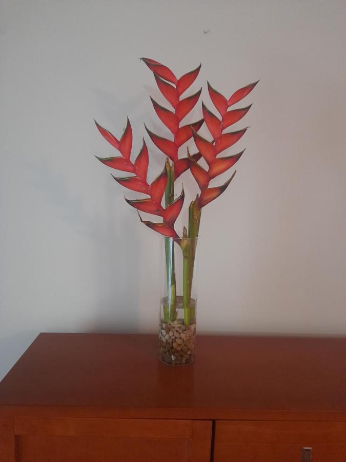 Recanto Da Madeira. Apartment Рибейра Брава Екстериор снимка